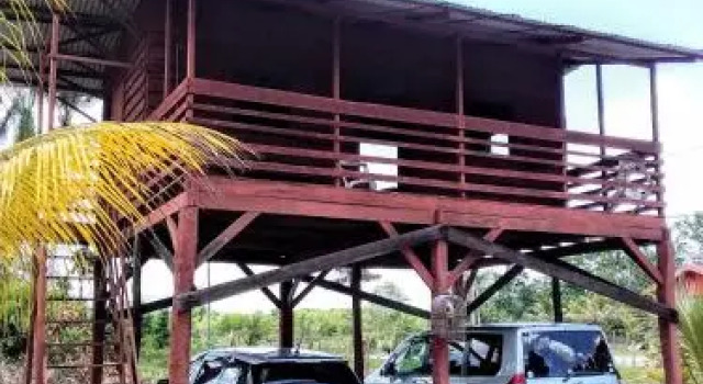 Toucan, Buchen Sie Hotel Zanderij Suriname