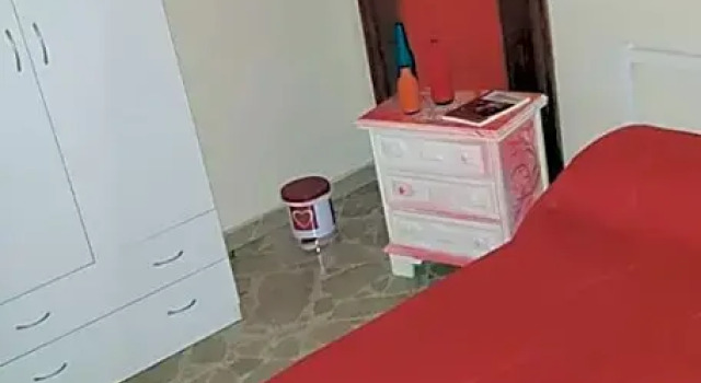 Framamired