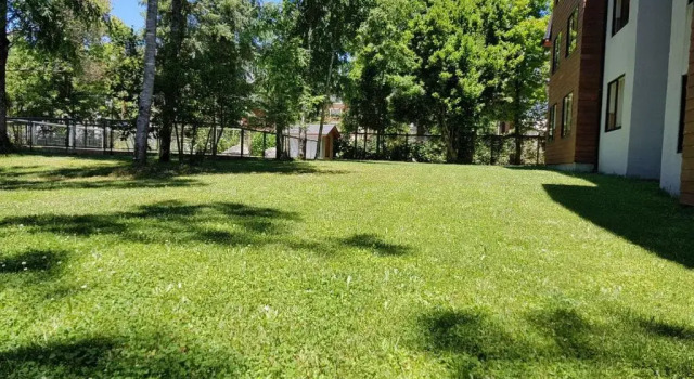 Апартаменты с видом на сад Peumayén Departamento Pucón