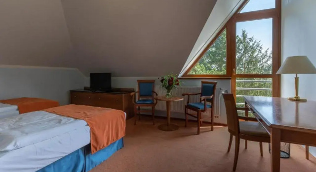 Номер Standard Darovanský Dvůr - Wellness & Golf Hotel