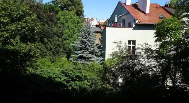 Апартаменты с красивым видом из окна Casa Di Pinokio