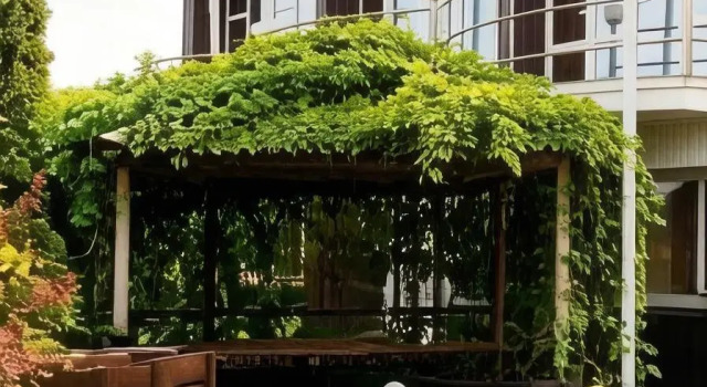 Streletc, Prenota Hotel Belgorod 