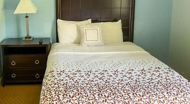 Suite Rodeway Inn