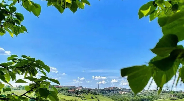 Номер Standard с 2 комнатами с видом на сад Agriturismo La Corte del Sole