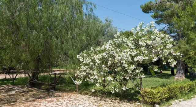 Номер Standard Agriturismo Terra Di Pace