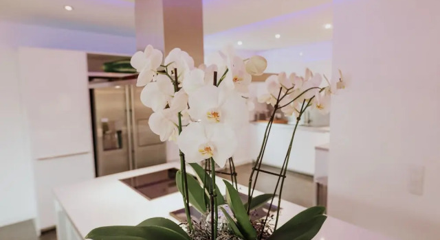 Номер Standard Пентхаус с красивым видом из окна Luxury Apartment & Penthouse Villa