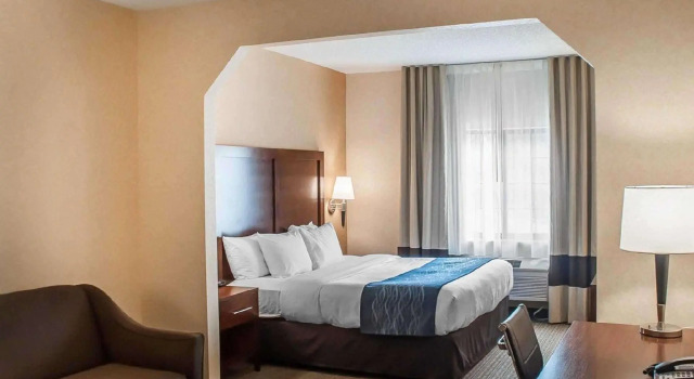Двухместный номер Standard Comfort Inn & Suites Hamburg - Buffalo South