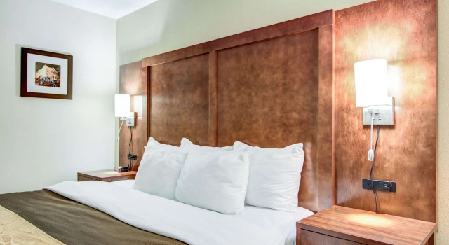 Двухместный люкс Comfort Inn & Suites Athens North