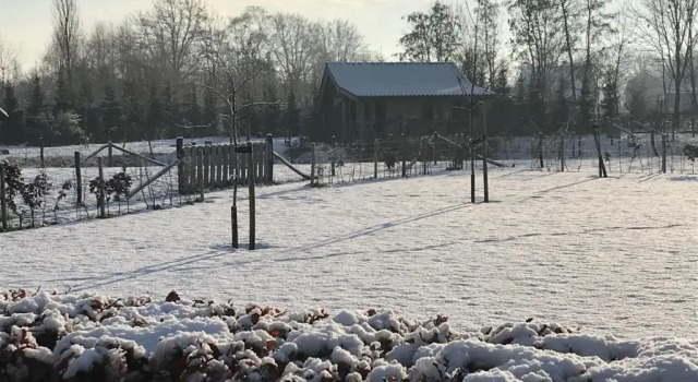 Коттедж Vakantiewoning Pardoes