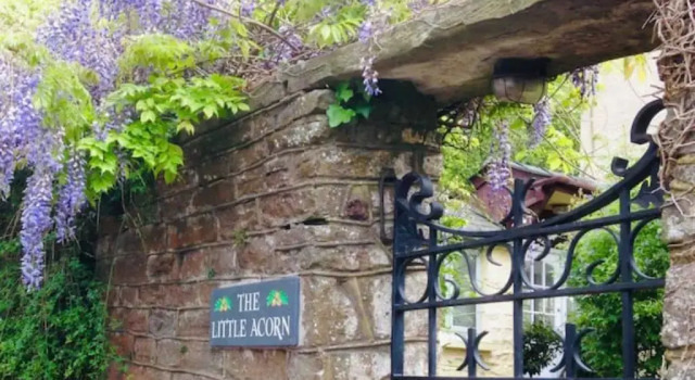 Студия The Little Acorn