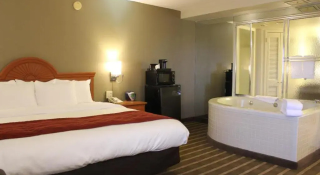 Люкс Comfort Inn University Center