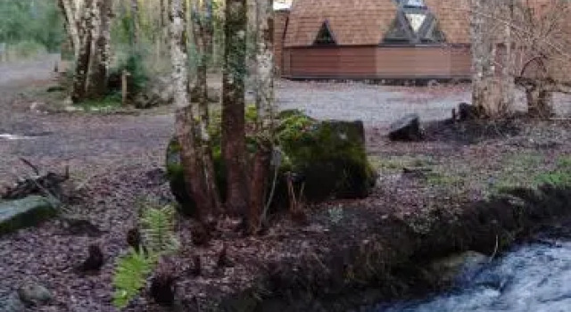Dormis del Bosque, Rezervovat Hotel Hotely v Araucanía s parkováním, Parkování