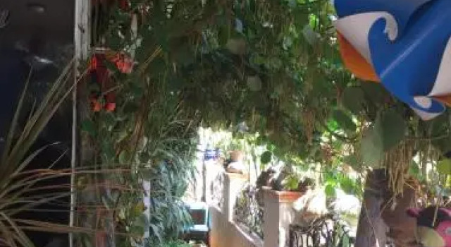 Vertical Garden Hostel, Buchen Sie Hostel Hostels in Mysore, Hostel