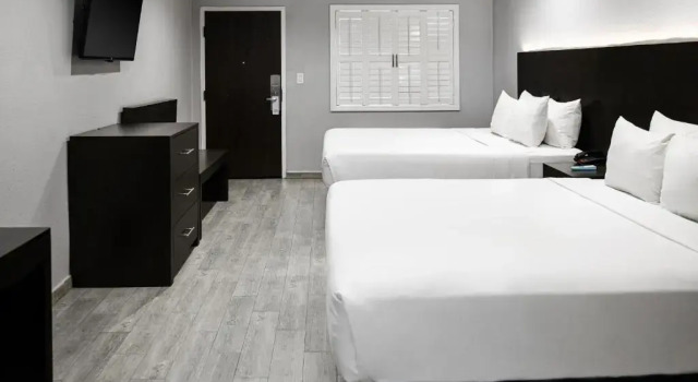 Четырёхместный номер Standard Hollywood Inn Express LAX