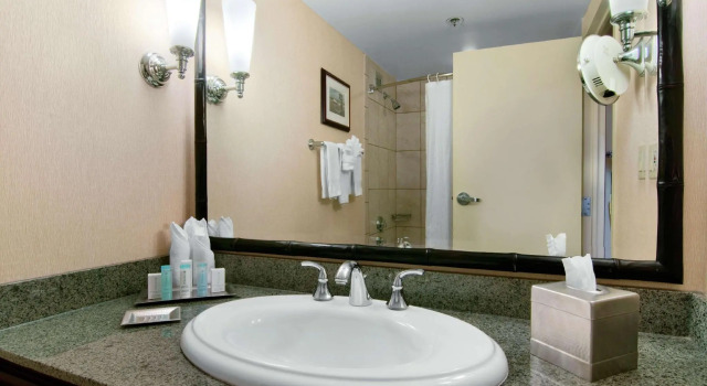 Двухместный номер Standard Hilton New Orleans Airport