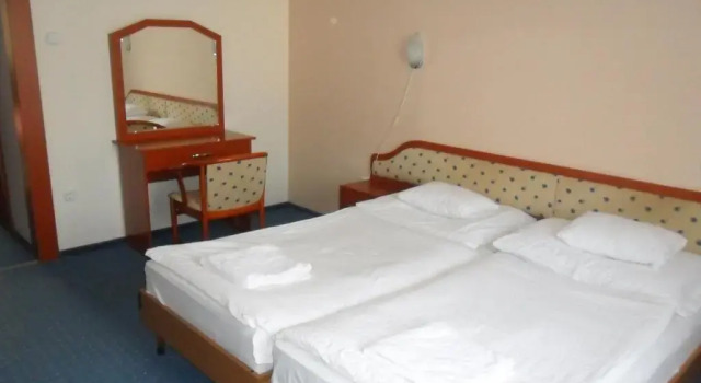 Номер Standard Hotel Imperial Gyogyszallo es Gyogyfurdo