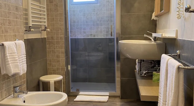 Двухместный номер Standard с балконом Domus Park Hotel & SPA