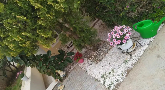 Апартаменты Standard Stavros Apartments