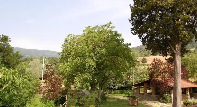 Номер Standard Agriturismo Il Piano