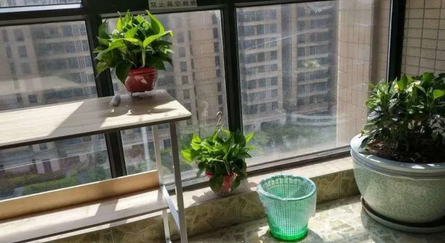 Zheng Zhou Si Hang Hostel, Buchen Sie Hostel Hostels in Zhengzhou, Hostel