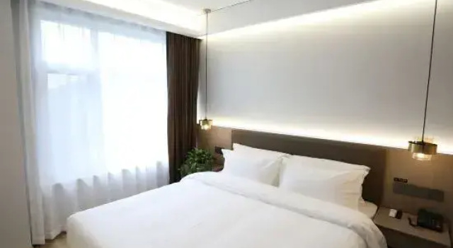 Люкс Deluxe Wanjia Hotel (Beijing Daxing International Airport)