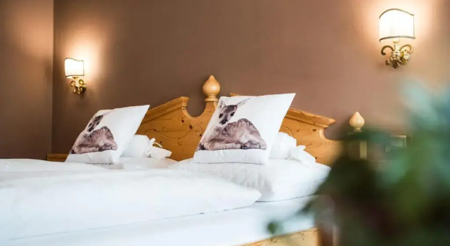 Номер Superior Alpenhotel Plaza