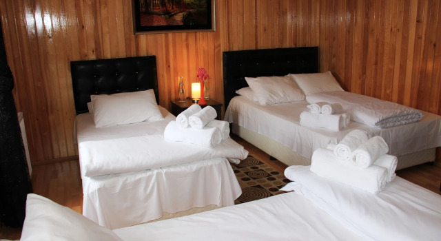 Ayder Villa de Pelit Hotel