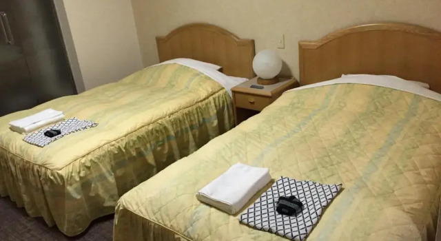 Двухместный номер Superior Nasushiobara Station Hotel