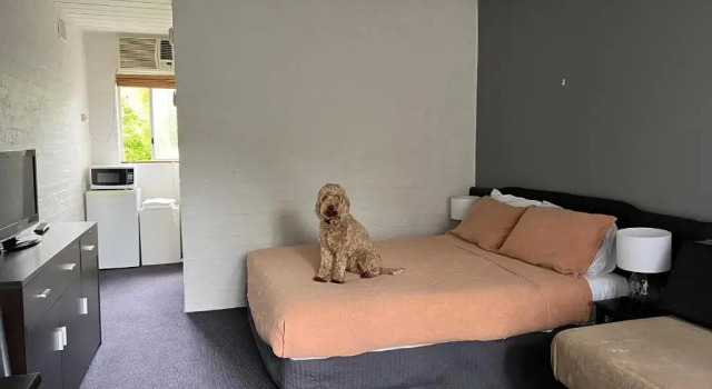 Двухместный номер Standard Riverbank Park MOTEL