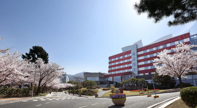 Номер Standard Geoje Samsung Hotel