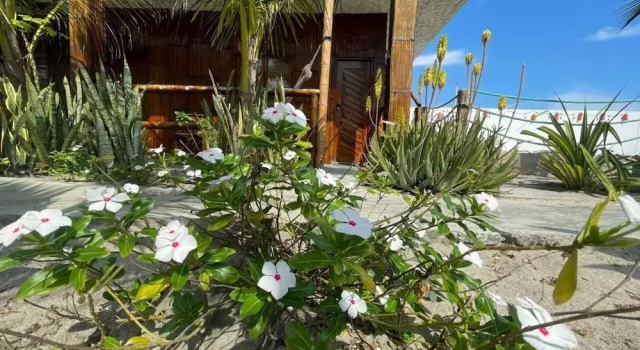 Двухместный номер Deluxe с видом на бассейн Un Dia Boutique Resort