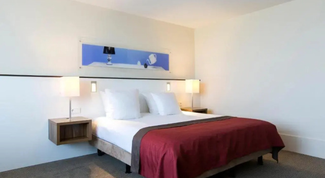 Двухместный люкс Holiday Inn Eindhoven Centre by IHG