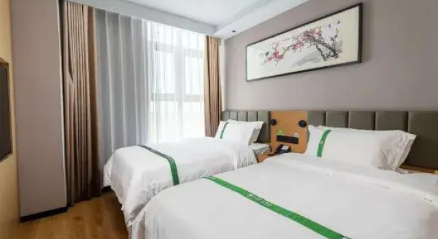 Люкс Business GreenTree Inn Select Hotel (Taigu Jingu Avenue Rongxintang Branch)