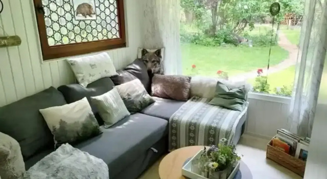 Holiday Home Fairytale hut, Забронировать Отель  