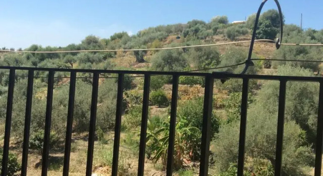 B&B Domus Candida, Book Bed and Breakfast Calatabiano Etna