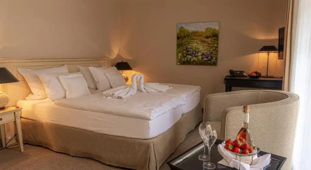 Двухместный номер Standard Strandhotel Fontana