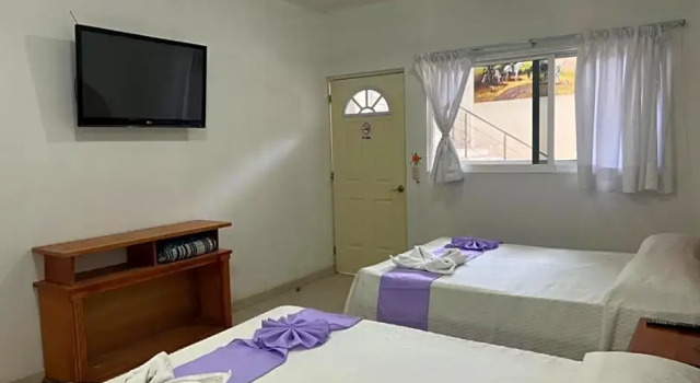Четырёхместный номер Standard Дуплекс Hotel Quinta de La Rosa