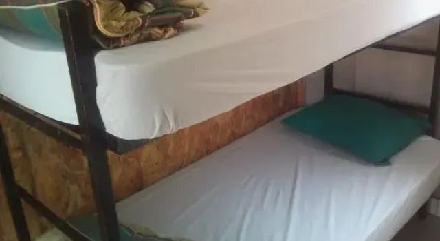 Кровать в общем номере (женский номер) Accoustix Backpackers Hostel