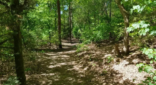 Апартаменты Knusse 5 Persoons Bungalow Hartje Veluwe