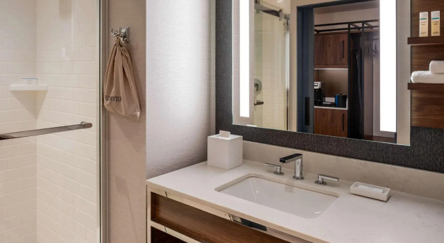 Двухместный номер Hilton Garden Inn Austin University Capitol District