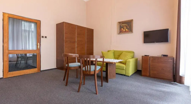 Двухместный номер Standard Hotel Slovan Plzeň