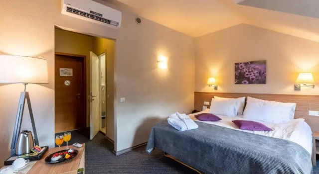 Двухместный номер Superior Hotel Sigulda