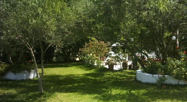 Номер Standard Polymnia Apartments