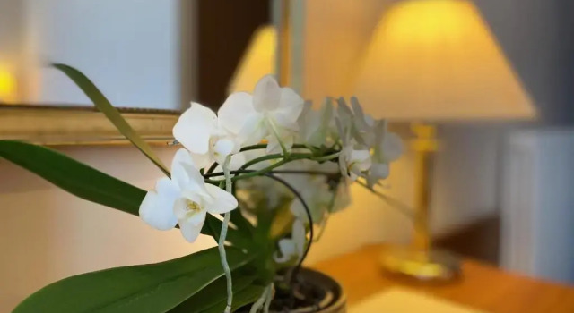 Двухместный номер Standard Hotel Eletto
