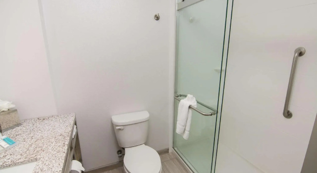 Двухместный номер Standard Hilton Garden Inn Tampa Suncoast Parkway