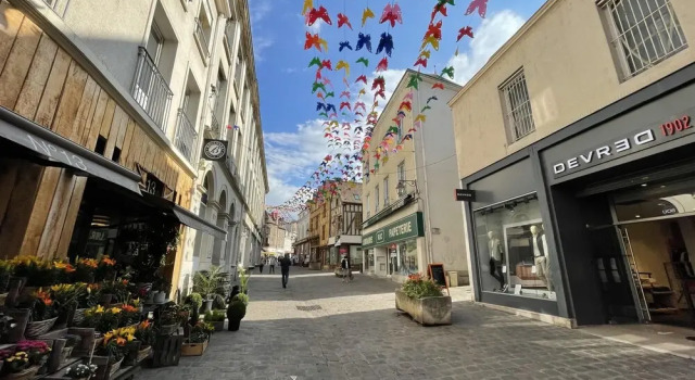 Appartement Auxerre Centre Ville