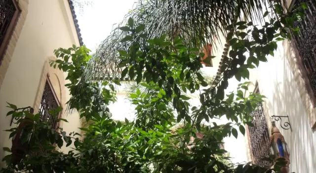 Suite Deluxe Riad Itrane