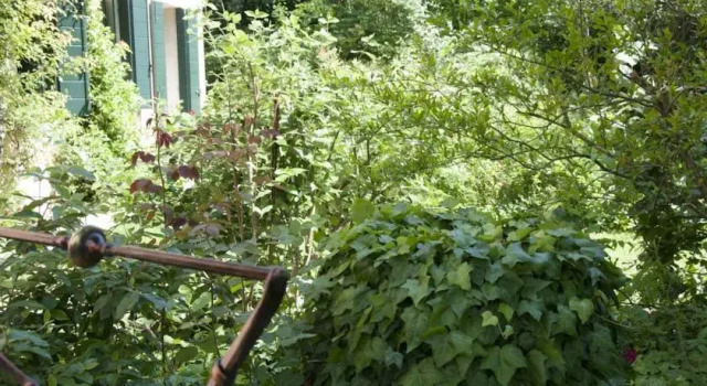Rose's Garden House, Prenota Locanda Treviso 
