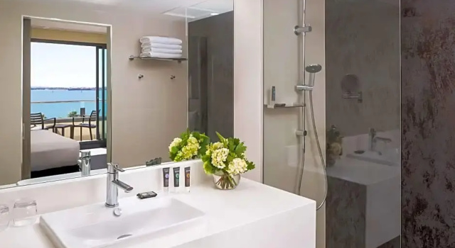 Одноместный номер Superior Novotel Geelong