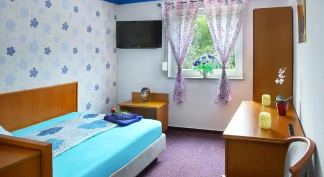 Одноместный номер Standard Hotel im Rheintal